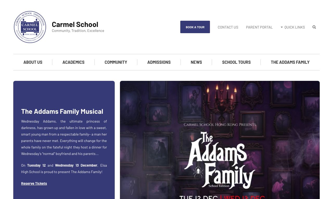 Screenshot of the Home Page of CARMEL SCHOOL